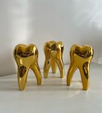 Gold Tooth Model - Image 4