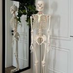 Skeleton 180cm
