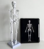 Human Skeleton Model
